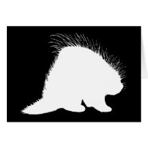 Porcupine Greeting Cards