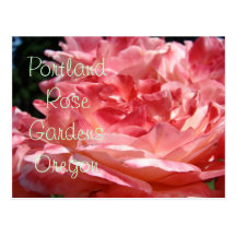 Portland Rose Gardens postcards Pink Roses Garden