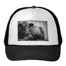 Portrait of an Angus Trucker Hat