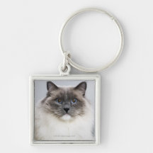 Portrait of Ragdoll cat Key Chain