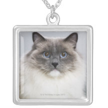 Portrait of Ragdoll cat Personalised Necklace