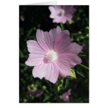 Portuguese-feliz aniversário-5 petals greeting cards