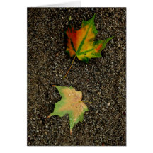 Portuguese-feliz aniversário-leaves cards