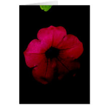 Portuguese-feliz aniversário-pink flower greeting cards