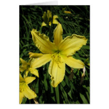 Portuguese-feliz aniversário-yellow lily card