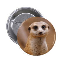 Posing Meerkat Buttons