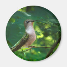 Posing Refrigerator Magnet