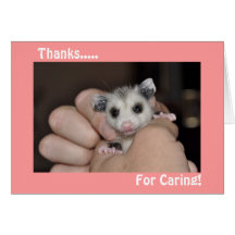 Possum Thank you card