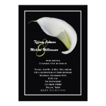 Post Wedding Reception Invitations invitations