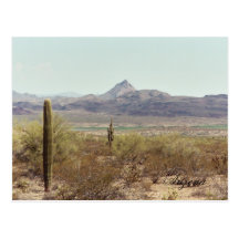 postcard