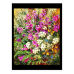 Postcard-Classic/Vintage-Albert Durer Lucas 5