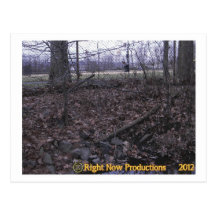 Postcard Eight