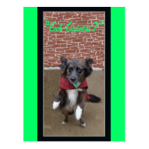 Postcard for St. Patrick's Day!