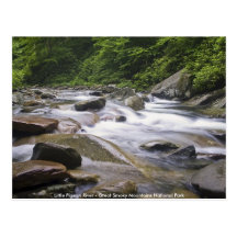 Postcard - Little Pigeon River, Great Smoky Mtns.