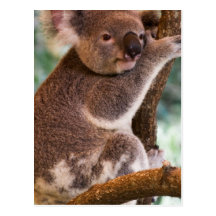 Postcard Vertical Template - Customized