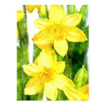 Postcard with Daffodils in watercolor