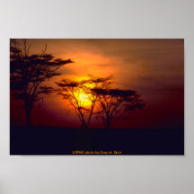 Poster / African Sunset