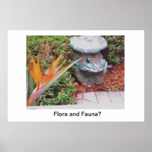 Poster/Bird of Paradise/Frog/Prince/Flora & Fauna