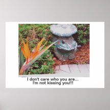 Poster/Bird of Paradise/Frog/Prince/Flora & Fauna