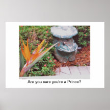 Poster/Bird of Paradise/Frog/Prince/Flora & Fauna
