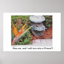 Poster/Bird of Paradise/Frog/Prince/Flora & Fauna