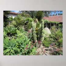 Poster: Cactus in Mission Garden, San Luis Obispo