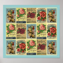 POSTER ~DESIGNED FROM VINTAGE ROSE CULTURE GUIDE