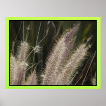 Poster - Fall Grass