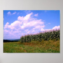 Poster - Fields.