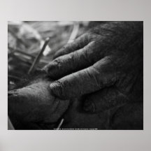 Poster "Gentle Hands" - Female ...