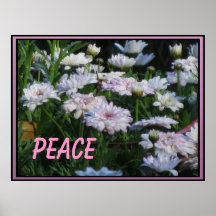 Poster - Peace