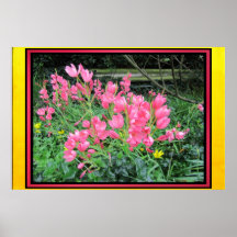 Poster - Pink Flowers