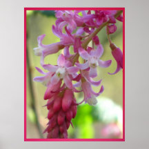 Poster - Pink Wild Flowers