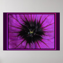 Poster - Purple Flower