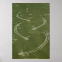 Poster Swirls in the sand - John A Sylvester...