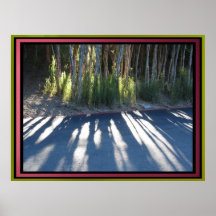 Poster - Trees