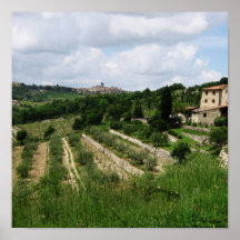 Poster - Tuscan Vineyard and Hill Town