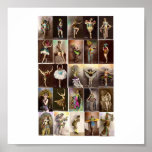 Poster-Vintage-Casino Costumes