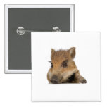 pot bellied pig piglet vector pins