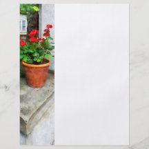 Pot of Geraniums on Stoop Personalised Flyer