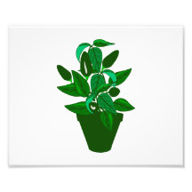 Pot with green themed plant art photo