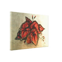Potted Caladiums Gallery Wrap Canvas