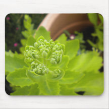 Potted Plant Mouse Pads