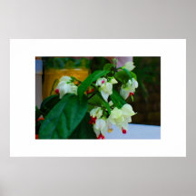 Potted Plant Poster