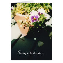 Potted Spring Pansies Greeting Card
