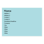 Powder Blue Solid Colour Design (B0E0E6) Template Business Cards