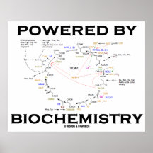 Powered By Biochemistry (Krebs Cycle) Posters