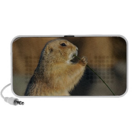 Prairie Dog Speakers
