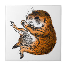 Prairie dog , Tile