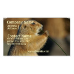 Prairie Dogs Business Card